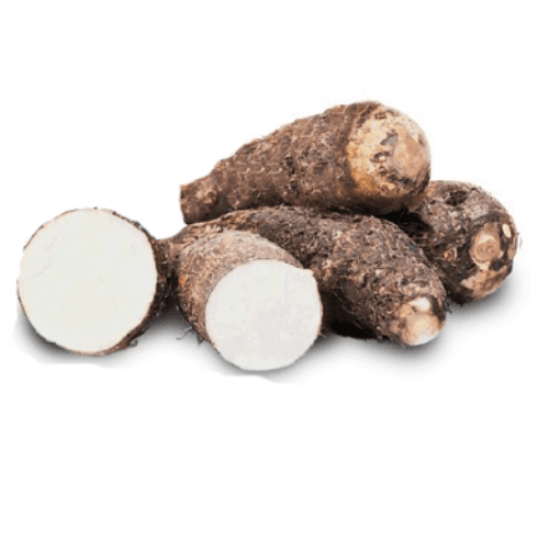 Tiquisque (Xanthosoma sagittifolium)